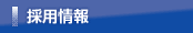 採用情報
